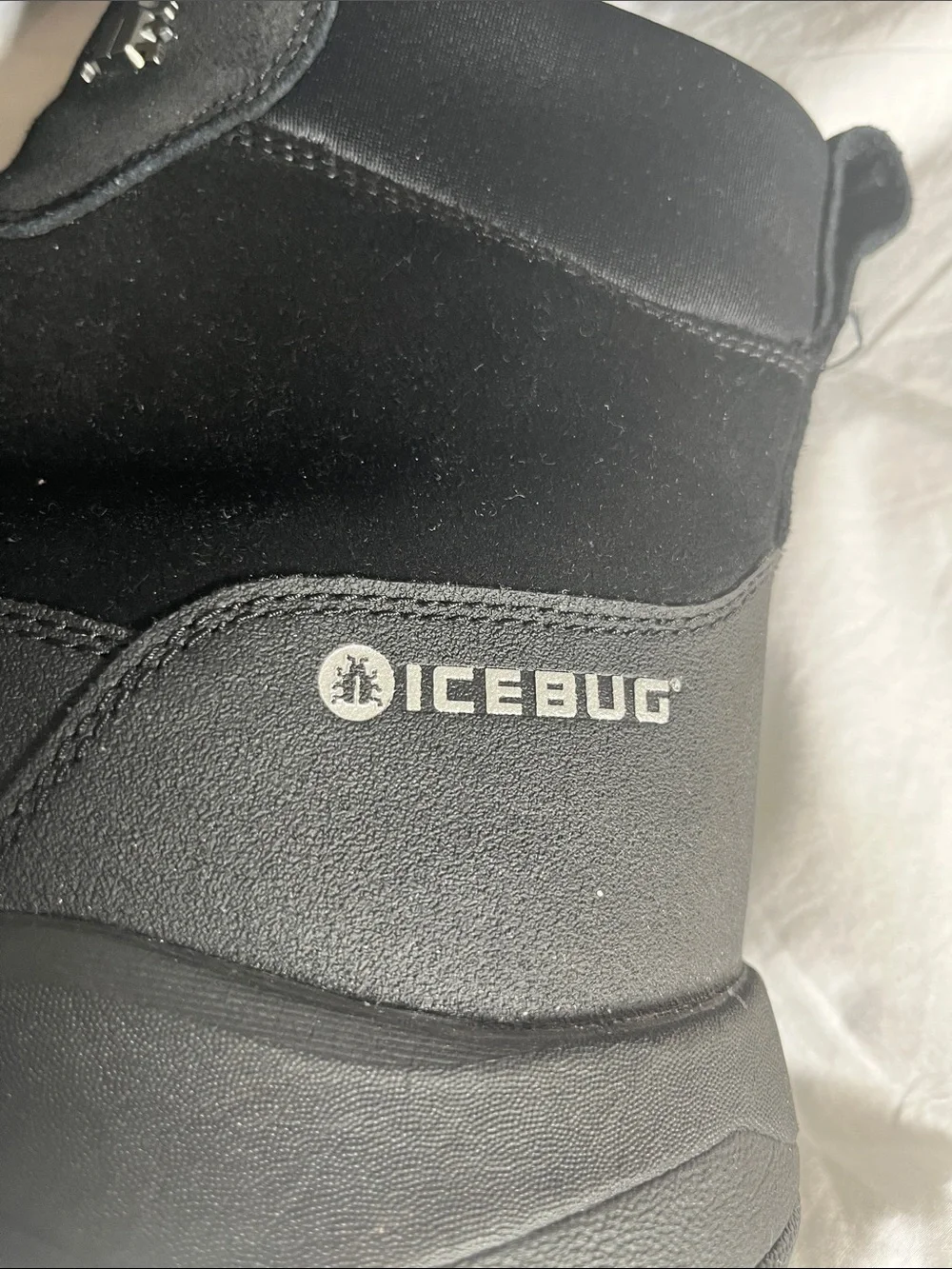 Icebug questions leave